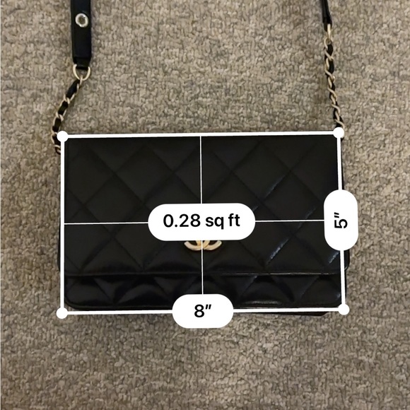 Chanel goatskin WOC (cruise 2021/2022 wallet on chain) - Picture 16 of 16